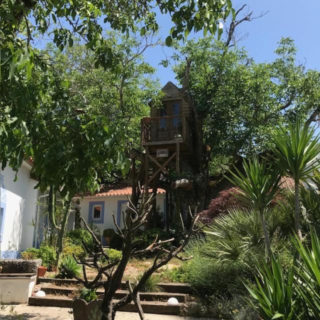 Casa Oliva - Casa Da Serra Porto de Mós Exteriér fotografie