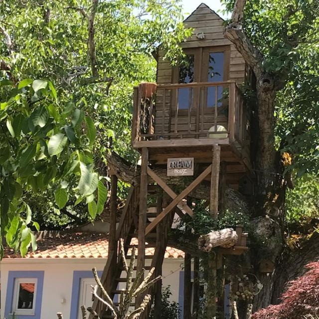 Casa Oliva - Casa Da Serra Porto de Mós Exteriér fotografie