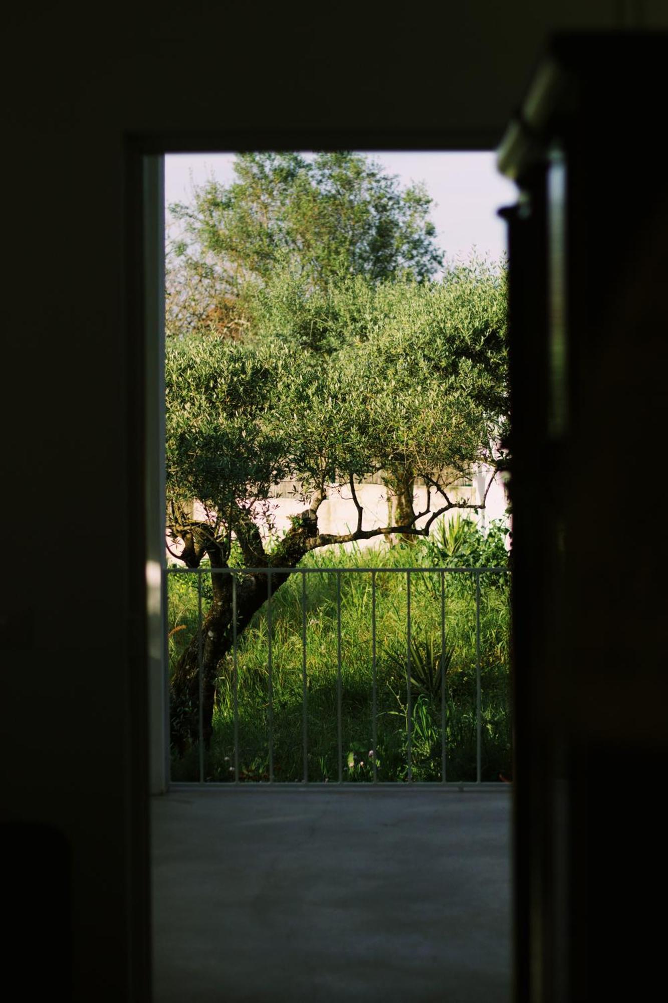Casa Oliva - Casa Da Serra Porto de Mós Exteriér fotografie