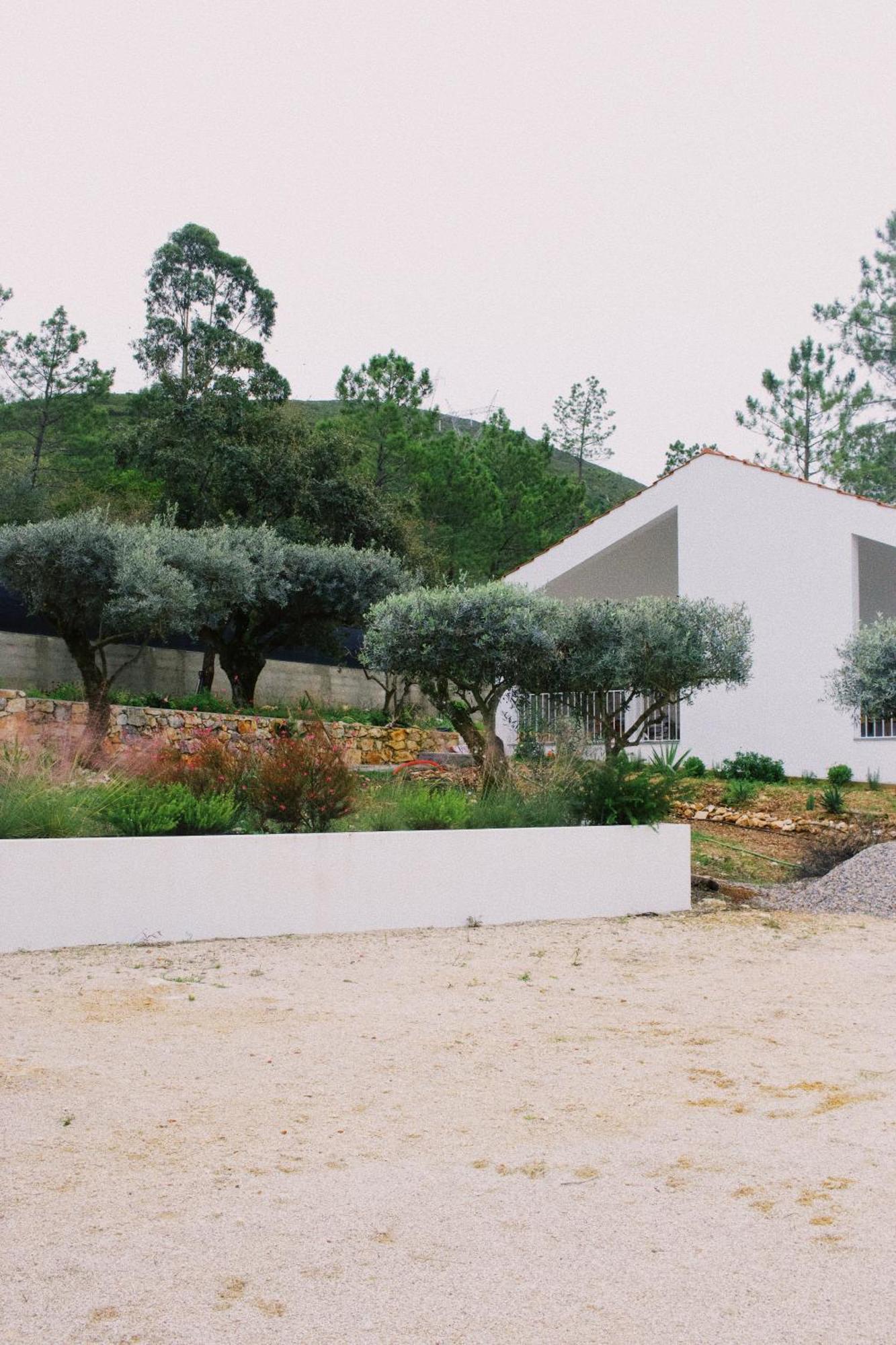 Casa Oliva - Casa Da Serra Porto de Mós Exteriér fotografie